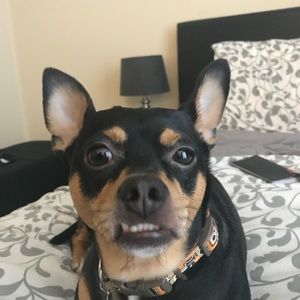 Meet your Posher, Marcos